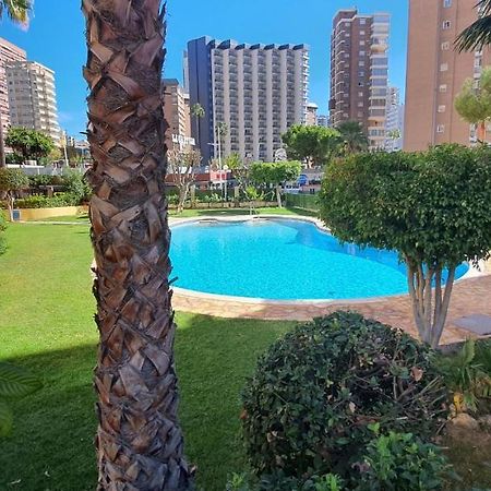 Adelfas - Fincas Arena بينايدورم المظهر الخارجي الصورة